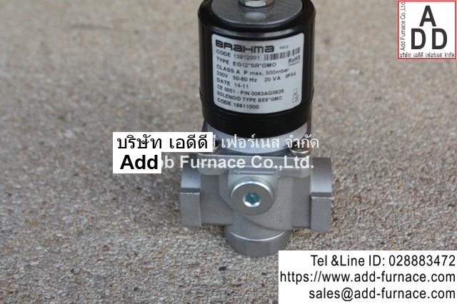Brahma Type EG12*SR*GMO (6)